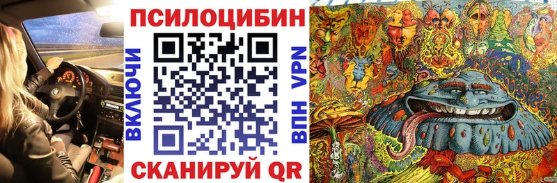 Галлюциногенные грибы Psilocybe Сусуман